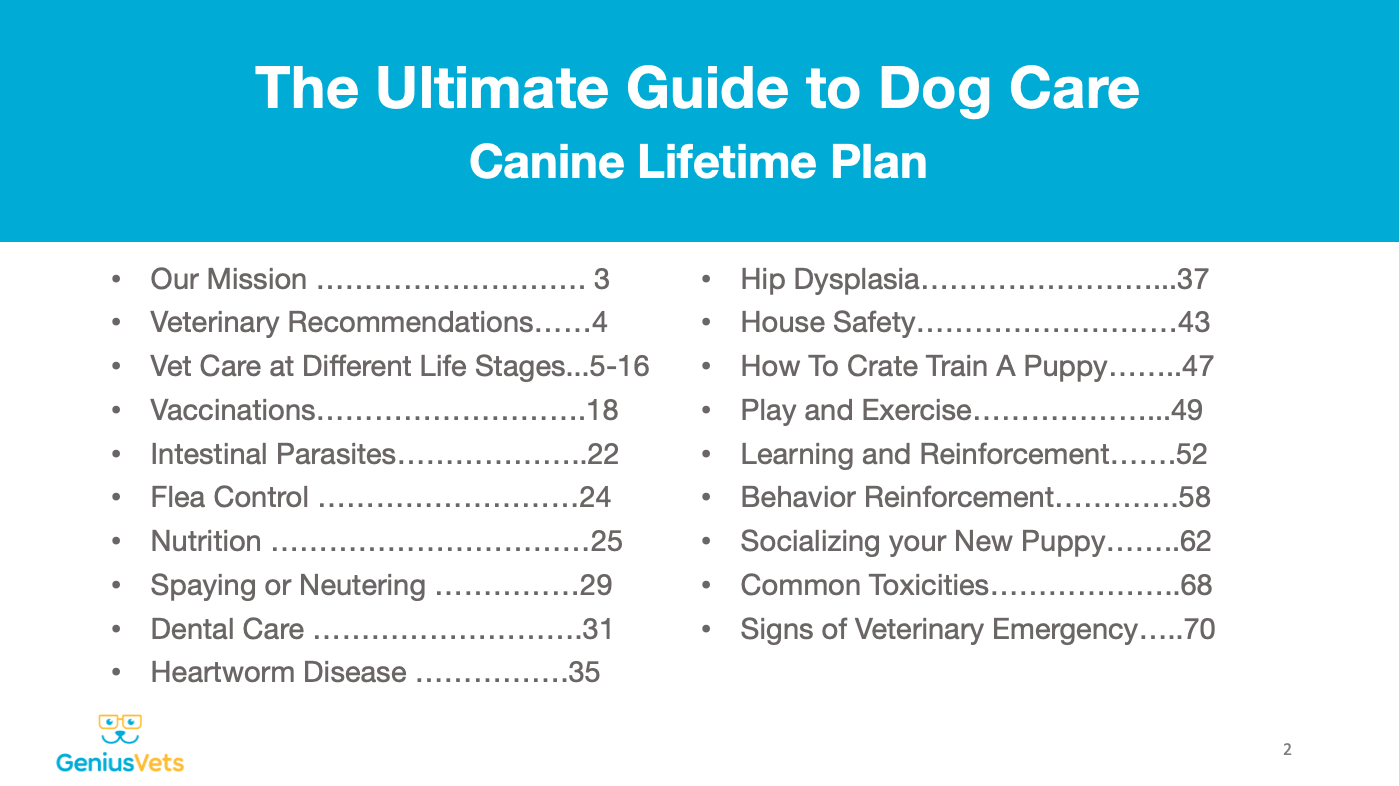 ultimate-guide-to-dog-care-table-of-contents